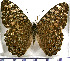  ( - JFDA0804)  @11 [ ] by-nc-sa (2024) Jean F. Le Crom Jean F. Le Crom