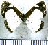  (Dynamine agacles core - JFDA0849)  @11 [ ] by-nc-sa (2024) Jean F. Le Crom Jean F. Le Crom