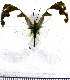  ( - JFDA0851)  @11 [ ] by-nc-sa (2024) Jean F. Le Crom Jean F. Le Crom