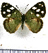  ( - JFDA0872)  @11 [ ] by-nc-sa (2024) Jean F. Le Crom Jean F. Le Crom