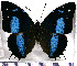  ( - JFDA0914)  @11 [ ] by-nc-sa (2024) Jean F. Le Crom Jean F. Le Crom