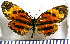  ( - JFDA1000)  @11 [ ] by-nc-sa (2024) Jean F. Le Crom Jean F. Le Crom