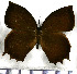  ( - JFDA1424)  @11 [ ] by-nc-sa (2025) Jean F. Le Crom Jean F. Le Crom