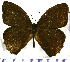 ( - JFDA1496)  @11 [ ] by-nc-sa (2025) Jean F. Le Crom Jean F. Le Crom