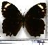  ( - JFDA1707)  @11 [ ] by-nc-sa (2025) Jean F. Le Crom Jean F. Le Crom