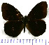  ( - JFDA1744)  @11 [ ] by-nc-sa (2025) Jean F. Le Crom Jean F. Le Crom