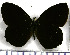  ( - JFDA1840)  @11 [ ] by-nc-sa (2025) Jean F. Le Crom Jean F. Le Crom
