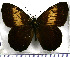  ( - JFDA1888)  @11 [ ] by-nc-sa (2025) Jean F. Le Crom Jean F. Le Crom