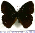  ( - JFDA1966)  @11 [ ] by-nc-sa (2025) Jean F. Le Crom Jean F. Le Crom