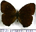 ( - JFDA1971)  @11 [ ] by-nc-sa (2025) Jean F. Le Crom Jean F. Le Crom