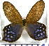 ( - JFDA2057)  @11 [ ] by-nc-sa (2025) Jean F. Le Crom Jean F. Le Crom