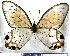  ( - JFDA2061)  @11 [ ] by-nc-sa (2025) Jean F. Le Crom Jean F. Le Crom