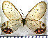  ( - JFDA2070)  @11 [ ] by-nc-sa (2025) Jean F. Le Crom Jean F. Le Crom