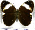  ( - JFDA2093)  @11 [ ] by-nc-sa (2025) Jean F. Le Crom Jean F. Le Crom