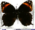  ( - JFDA2095)  @11 [ ] by-nc-sa (2025) Jean F. Le Crom Jean F. Le Crom
