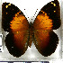  ( - JFDA2097)  @11 [ ] by-nc-sa (2025) Jean F. Le Crom Jean F. Le Crom