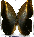  ( - JFDA2129)  @11 [ ] by-nc-sa (2025) Jean F. Le Crom Jean F. Le Crom