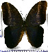  ( - JFDA2134)  @11 [ ] by-nc-sa (2025) Jean F. Le Crom Jean F. Le Crom