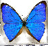  ( - JFDA2168)  @11 [ ] by-nc-sa (2025) Jean F. Le Crom Jean F. Le Crom