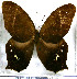  ( - JFDA2201)  @11 [ ] by-nc-sa (2025) Jean F. Le Crom Jean F. Le Crom