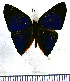  ( - JFDA2257)  @11 [ ] by-nc-sa (2025) Jean F. Le Crom Jean F. Le Crom