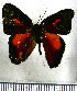  ( - JFDA2260)  @11 [ ] by-nc-sa (2025) Jean F. Le Crom Jean F. Le Crom