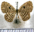  ( - JFDA2390)  @11 [ ] by-nc-sa (2025) Jean F. Le Crom Jean F. Le Crom