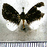  ( - JFDA2411)  @11 [ ] by-nc-sa (2025) Jean F. Le Crom Jean F. Le Crom