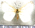  ( - JFDA2585)  @11 [ ] by-nc-sa (2025) Jean F. Le Crom Jean F. Le Crom