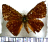  ( - JFDA2647)  @11 [ ] by-nc-sa (2025) Jean F. Le Crom Jean F. Le Crom