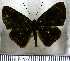  ( - JFDA2649)  @11 [ ] by-nc-sa (2025) Jean F. Le Crom Jean F. Le Crom