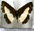  ( - JFDA2650)  @11 [ ] by-nc-sa (2025) Jean F. Le Crom Jean F. Le Crom