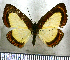  ( - JFDA2652)  @11 [ ] by-nc-sa (2025) Jean F. Le Crom Jean F. Le Crom