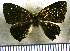  ( - JFDA2723)  @11 [ ] by-nc-sa (2025) Jean F. Le Crom Jean F. Le Crom