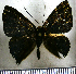  ( - JFDA2735)  @11 [ ] by-nc-sa (2025) Jean F. Le Crom Jean F. Le Crom