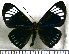  ( - JFDA2764)  @11 [ ] by-nc-sa (2025) Jean F. Le Crom Jean F. Le Crom