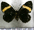  ( - JFDA2770)  @11 [ ] by-nc-sa (2025) Jean F. Le Crom Jean F. Le Crom