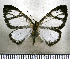  ( - JFDA2774)  @11 [ ] by-nc-sa (2025) Jean F. Le Crom Jean F. Le Crom