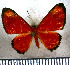  ( - JFDA2781)  @11 [ ] by-nc-sa (2025) Jean F. Le Crom Jean F. Le Crom