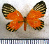 ( - JFDA2791)  @11 [ ] by-nc-sa (2025) Jean F. Le Crom Jean F. Le Crom