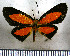  ( - JFDA2795)  @11 [ ] by-nc-sa (2025) Jean F. Le Crom Jean F. Le Crom
