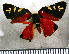  ( - JFDA2802)  @11 [ ] by-nc-sa (2025) Jean F. Le Crom Jean F. Le Crom
