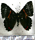  ( - JFDA2857)  @11 [ ] by-nc-sa (2025) Jean F. Le Crom Jean F. Le Crom