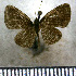  ( - JFDA2886)  @11 [ ] by-nc-sa (2025) Jean F. Le Crom Jean F. Le Crom