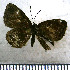 ( - JFDA2887)  @11 [ ] by-nc-sa (2025) Jean F. Le Crom Jean F. Le Crom