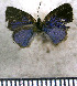  ( - JFDA2893)  @11 [ ] by-nc-sa (2025) Jean F. Le Crom Jean F. Le Crom