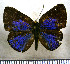  ( - JFDA2902)  @11 [ ] by-nc-sa (2025) Jean F. Le Crom Jean F. Le Crom