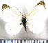  ( - JFDA2905)  @11 [ ] by-nc-sa (2025) Jean F. Le Crom Jean F. Le Crom