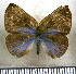  ( - JFDA2906)  @11 [ ] by-nc-sa (2025) Jean F. Le Crom Jean F. Le Crom