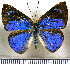  ( - JFDA2908)  @11 [ ] by-nc-sa (2025) Jean F. Le Crom Jean F. Le Crom